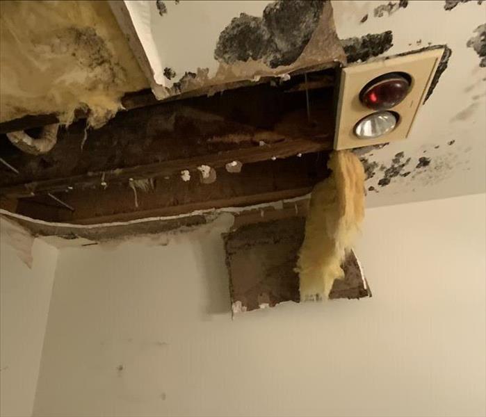 Mold and Water damage