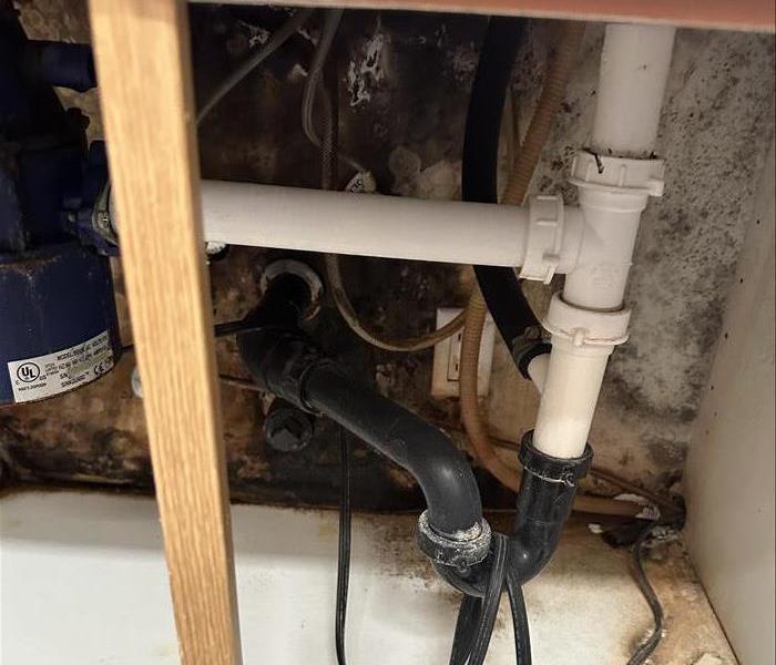 Mold infested sink cabinet.